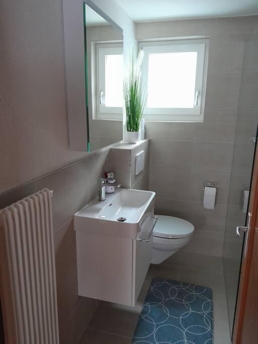 2 1/2 Zimmer Ferienwohnung Meiringen Εξωτερικό φωτογραφία